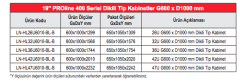 Lande Proline 400P LN-HL36U6010-BL-C 36U 600x1000 Perfore Kapaklı Server Kabinet